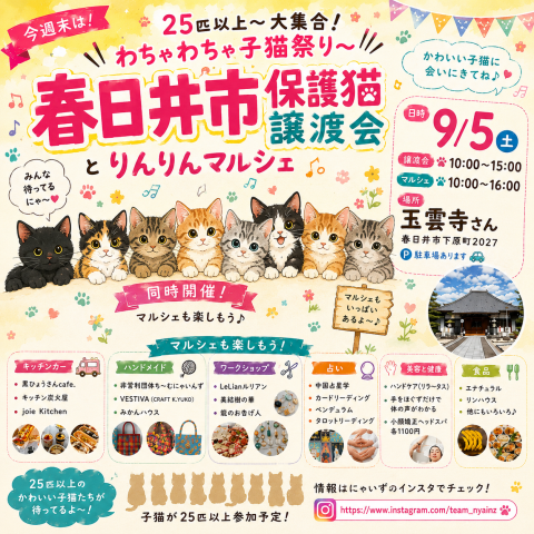 in春日井市☆りんりんマルシェ☆保護猫達を暖かいオウチに迎えよう☆2026年9月5日（土）～ 非営利団体「ちーむ にゃいんず」