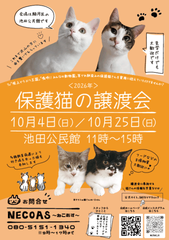 NECOAS　譲渡会　静岡市駿河区　10月も２回開催！