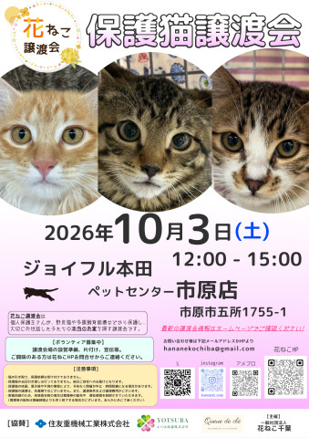 花ねこ譲渡会
