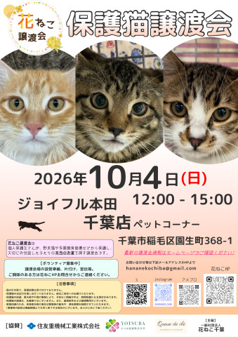 花ねこ譲渡会