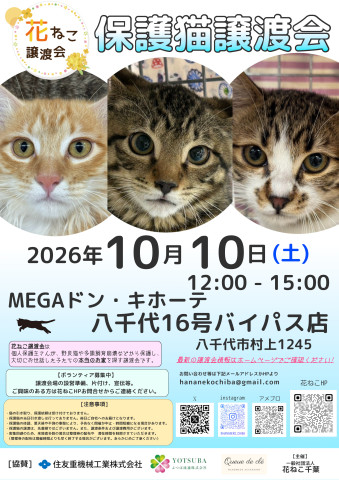 花ねこ譲渡会