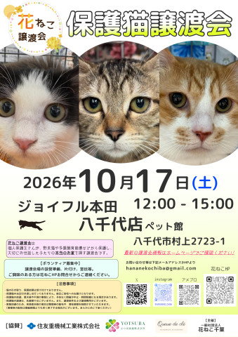 花ねこ譲渡会