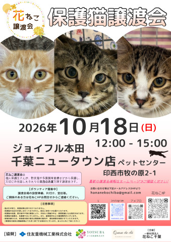 花ねこ譲渡会