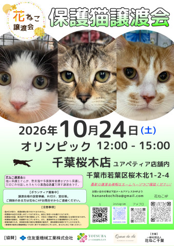 花ねこ譲渡会