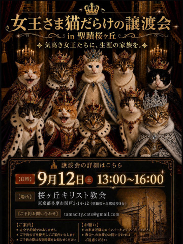 女王さま猫だらけの譲渡会in聖蹟桜ヶ丘