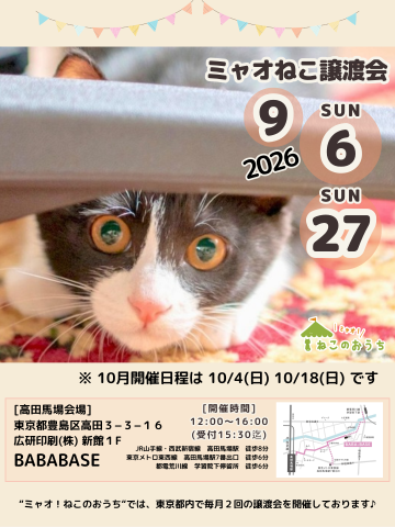 ミャオねこ譲渡会◆高田馬場