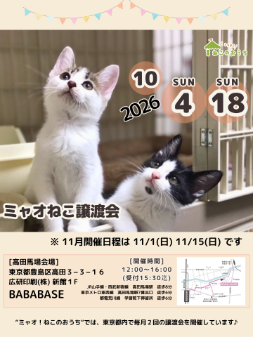 ミャオねこ譲渡会◆高田馬場