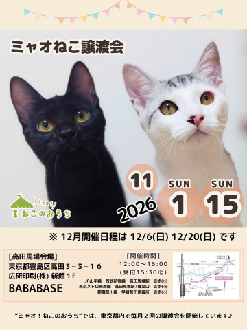 ミャオねこ譲渡会◆高田馬場