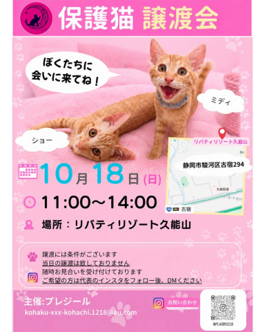 保護猫譲渡会
