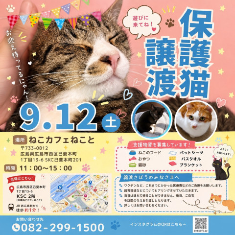 保護猫譲渡会