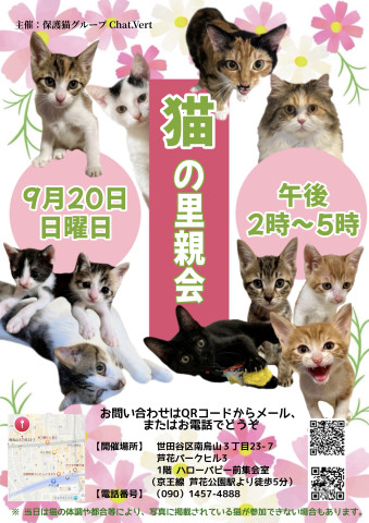 猫の里親会
