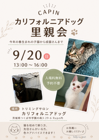 CAPIN カリフォルニアドッグ保護猫里親会