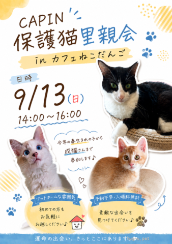 CAPIN カフェねこだんご　保護猫里親会
