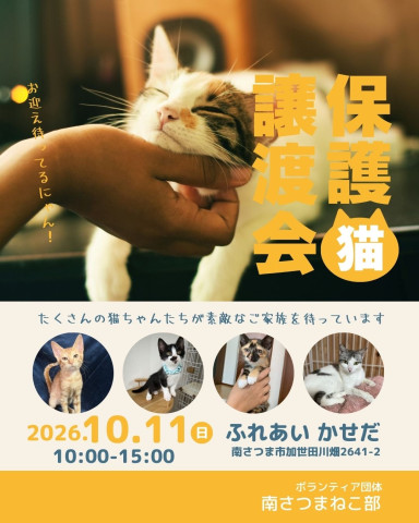 保護猫譲渡会