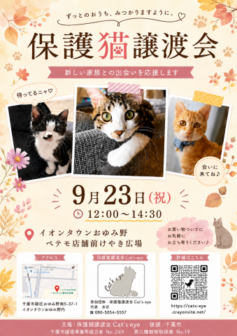 保護猫譲渡会Cat'seye