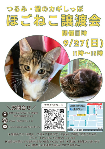 つるみ・猫のカギしっぽ猫の譲渡会　JR鶴見駅西口歩5分室内開催