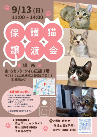 保護猫譲渡会