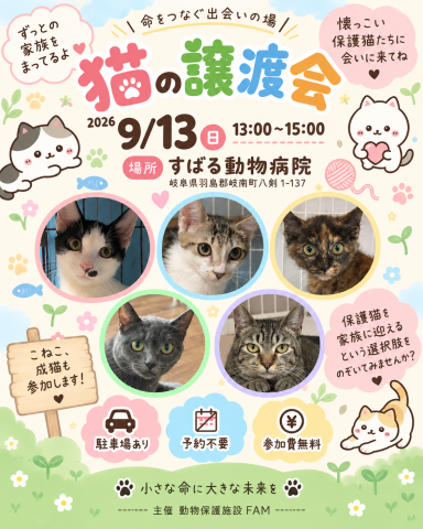 猫の譲渡会 in 岐南