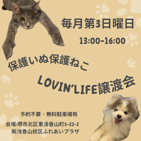 ラビンライフ譲渡会