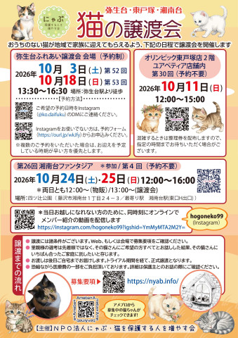 弥生台・東戸塚・湘南台　猫の譲渡会