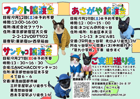 出張！秘密の譲渡会?@新宿大久保