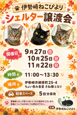 ねこびより保護猫譲渡会
