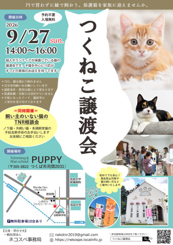 つくねこ譲渡会