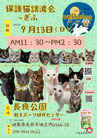 保護猫譲渡会inぎふ