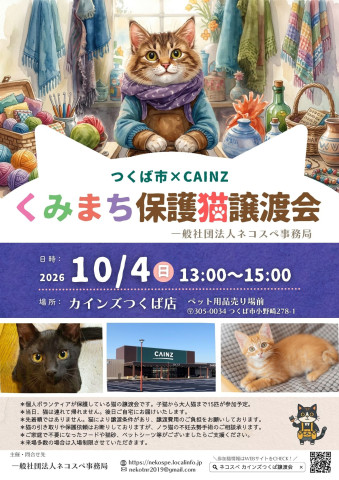 くみまち保護猫譲渡会
