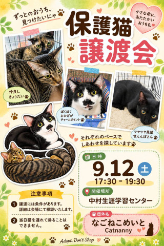 【夜開催】中村譲渡会　なごねこめいと
