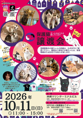 【徳島】保護猫譲渡会vol.2～保護猫はうす∞