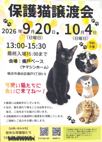 よこはま瀬谷・保護猫譲渡会