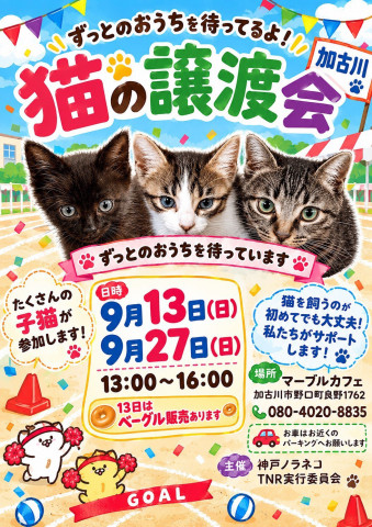 「マーブルカフェ」譲渡会