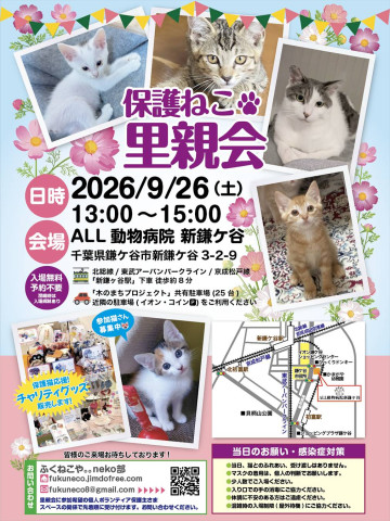 保護ねこ里親会 @ 新鎌ヶ谷