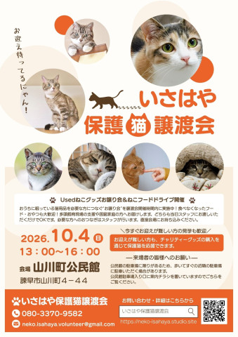 個人ボランティアさんによるいさはや保護猫譲渡会
