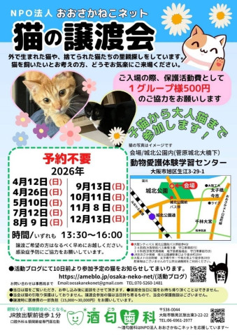 NPO法人おおさかねこネット　猫の譲渡会