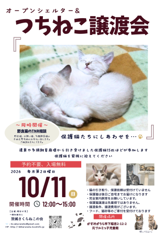 つちねこ譲渡会