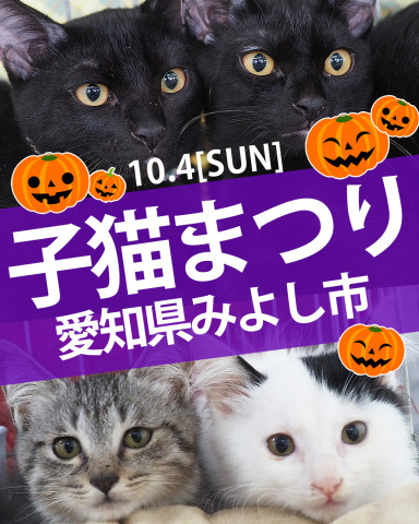 子猫まつり★ハロウィン譲渡会／みよし市