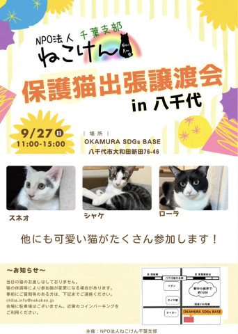 NPO法人ねこけん 千葉支部 譲渡会