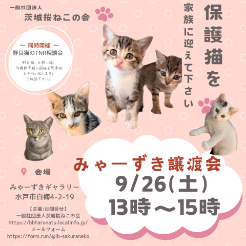 みゃーずき譲渡会
