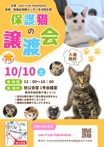 保護猫の譲渡会@sun＊cat Yokohama