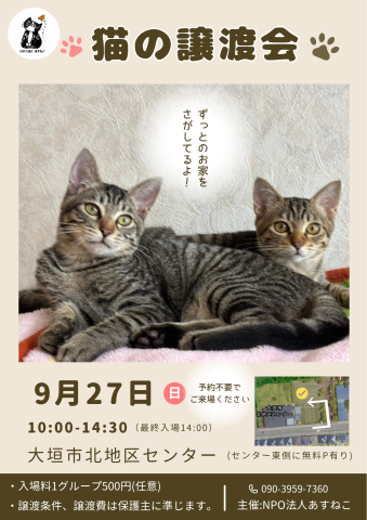 猫の譲渡会を開催します