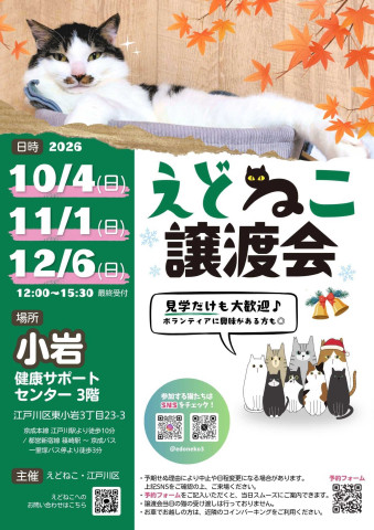 えどねこ譲渡会