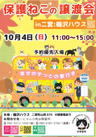 保護猫譲渡会in二宮町：梅沢ハウス