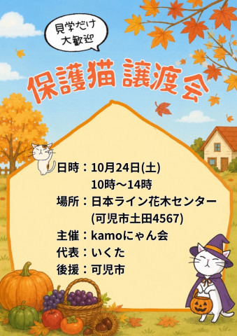 保護猫譲渡会in花木センター20261024