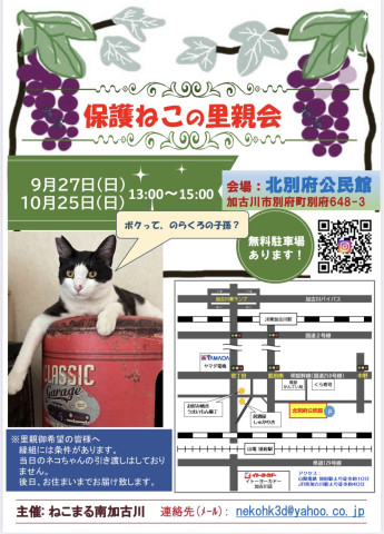 9/27保護ねこの里親会