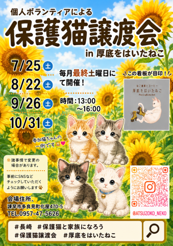長崎の個人ボランティアによる保護猫譲渡会