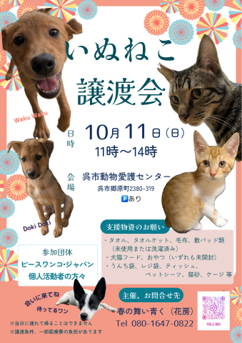 いぬねこ譲渡会