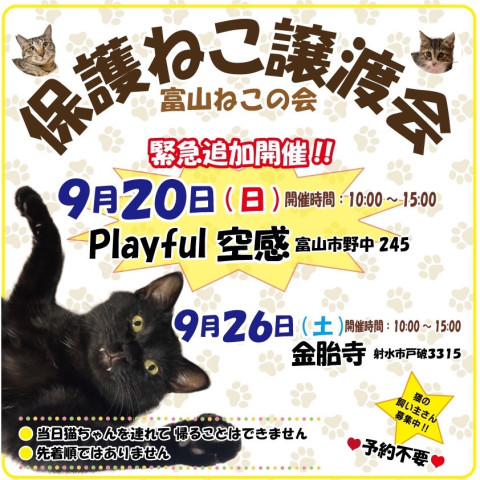 富山ねこの会　保護ねこ譲渡会