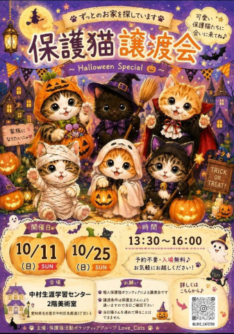 個人ボランティアLove_Cats　保護猫譲渡会　10/11